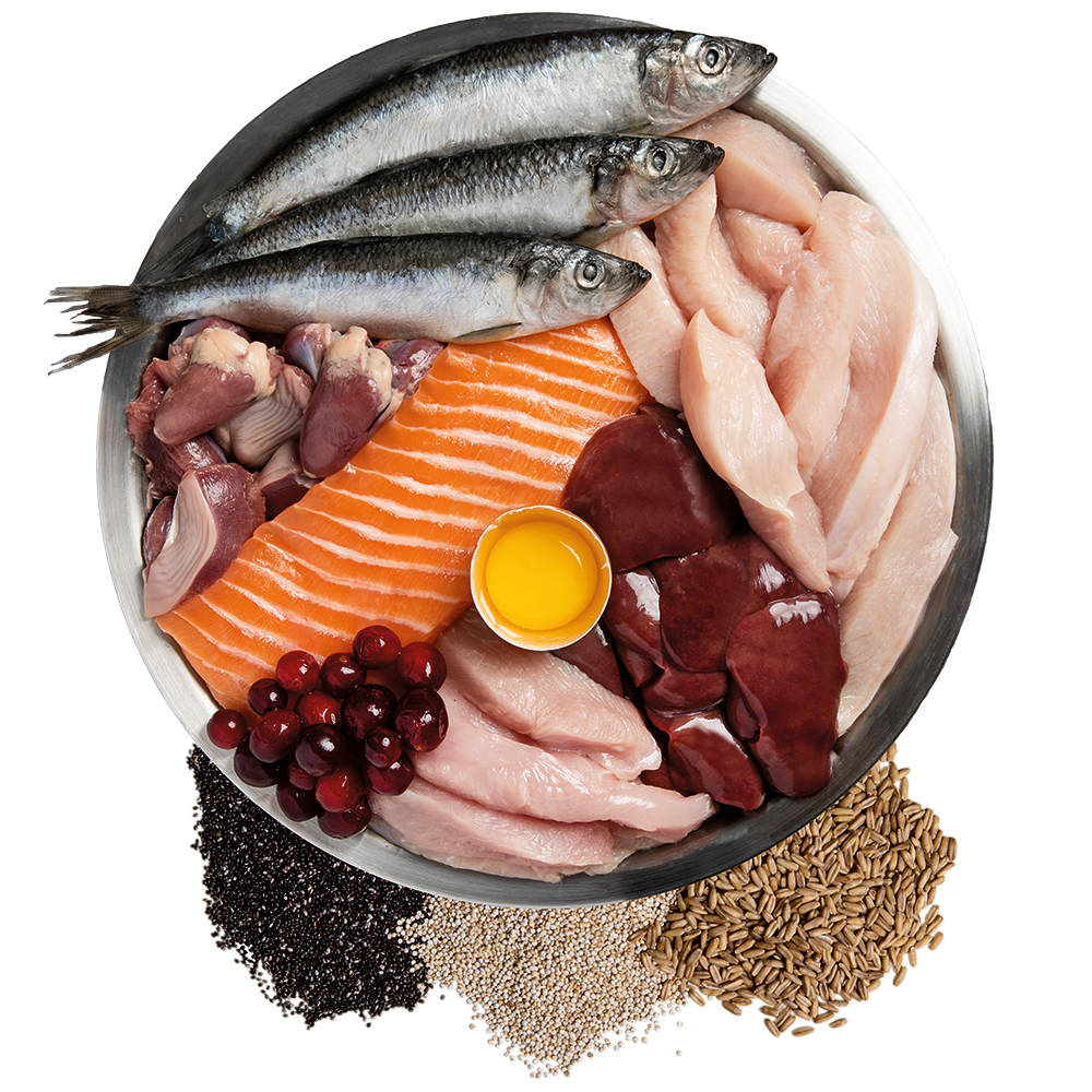 Wholeprey Ingredient Bowl
